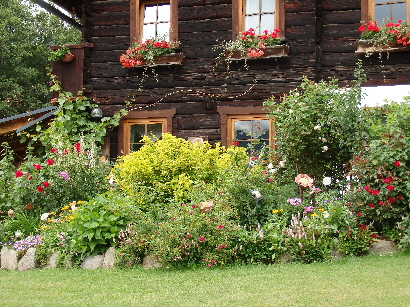 Blumen Frühling