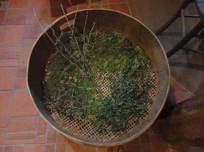 GEWÜRZE