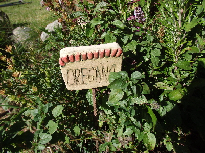 OREGANO