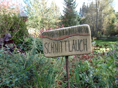 SCHNITTLAUCH