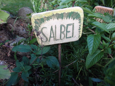 SALBEI