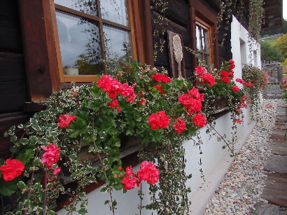 Herbst Bauernhaus Sauschneider