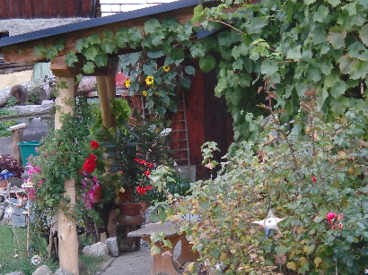 Herbstblüten