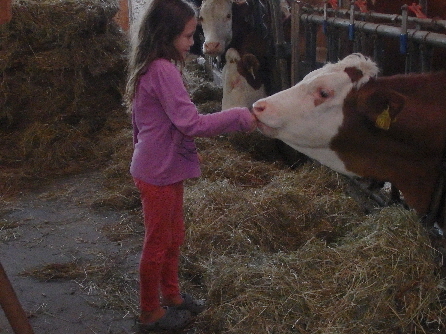 Kinder dürfen in den Stall