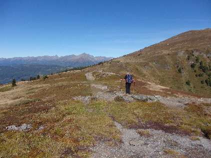 Ausblick
