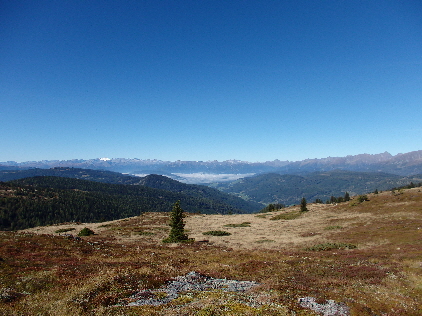Ausblick